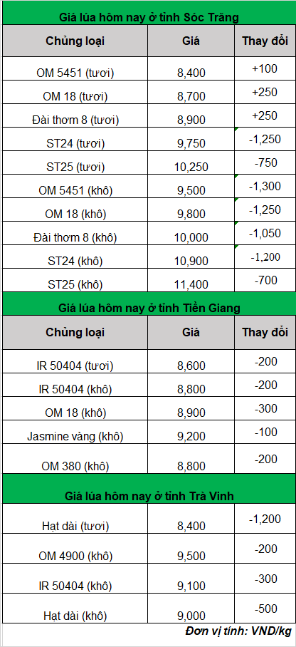 giá lúa hôm nay ngày 28-2-2024_1709089965.png